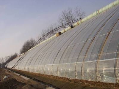 日光温室大棚如何建设?冬季大棚种植有哪些防寒技巧?