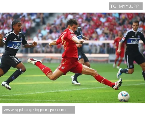 足球明星精彩瞬间集锦高清图片欣赏与分享 足球明星精彩瞬间集锦高清图片欣赏与分享