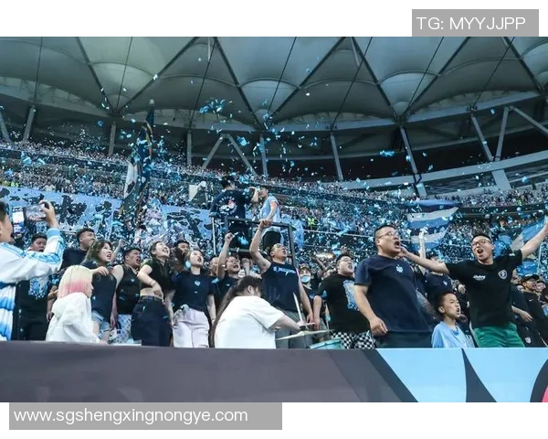 足球明星退役后球迷心中的偶像与追忆之旅 足球明星退役后球迷心中的偶像与追忆之旅