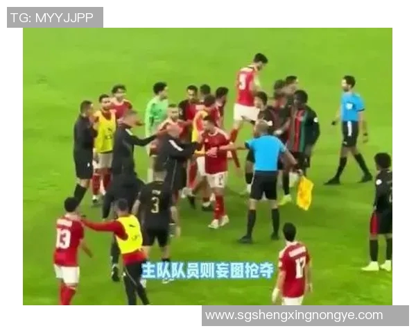 足球明星赛场遭遇恶搞被扔东西视频引发热议球迷反应各异 足球明星赛场遭遇恶搞被扔东西视频引发热议球迷反应各异