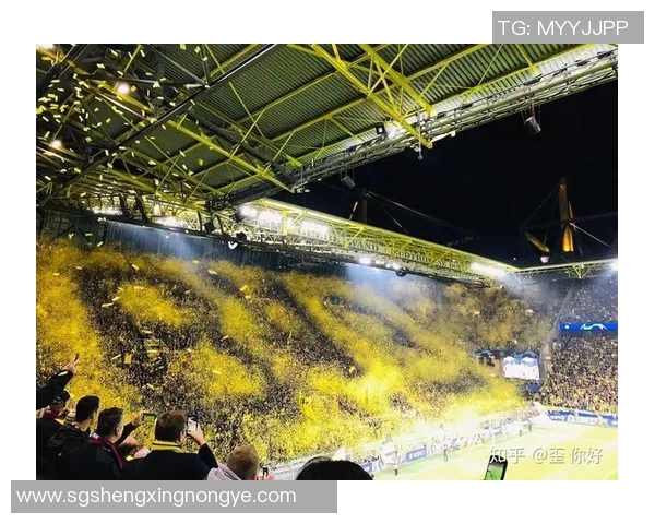 足球明星转场时的音乐名称揭秘与背后的故事分析 足球明星转场时的音乐名称揭秘与背后的故事分析