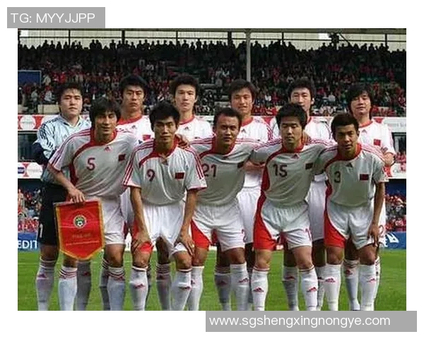 足球明星齐聚一堂动画合照展现球场魅力与友谊 足球明星齐聚一堂动画合照展现球场魅力与友谊