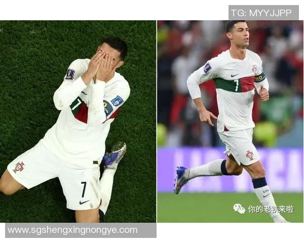 众多足球明星为何纷纷选择C罗作为偶像与榜样解析 众多足球明星为何纷纷选择C罗作为偶像与榜样解析