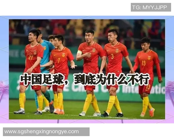 中国足球明星的崛起与挑战解析他们如何改变中国足球的未来发展方向