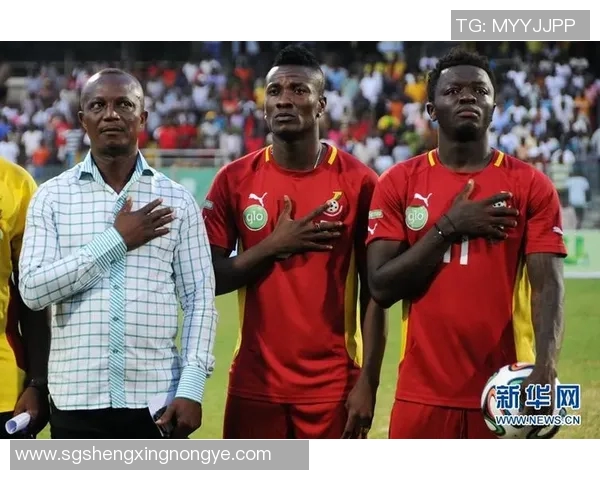 加纳足球明星排名榜揭晓谁是当今足坛最闪耀的明星