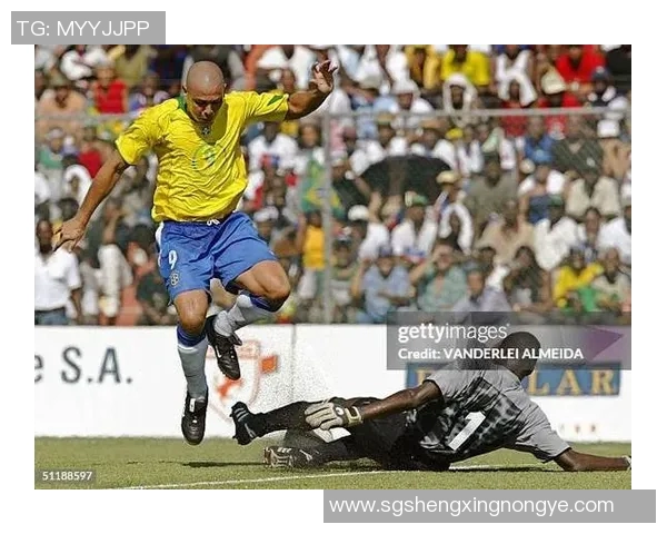 海地足球明星的辉煌历程与成就盘点