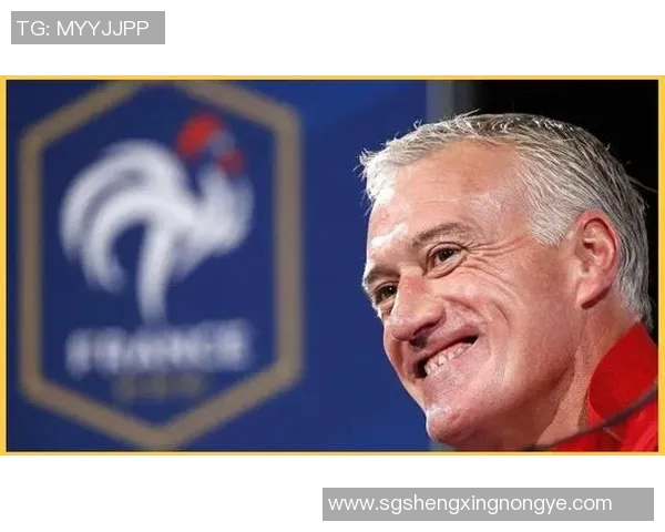 足球场上的传奇之路六号球星的辉煌与荣耀 足球场上的传奇之路六号球星的辉煌与荣耀