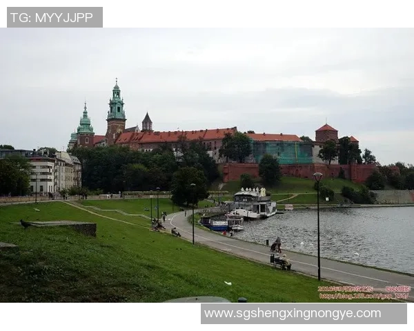 东欧足球传奇人物的辉煌历程与影响力探讨