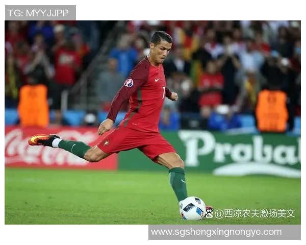 现法国足球明星盘点及其在国际赛场上的表现分析