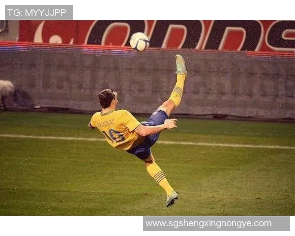 足球明星兵人模型视频揭秘球场传奇与艺术结合的完美瞬间