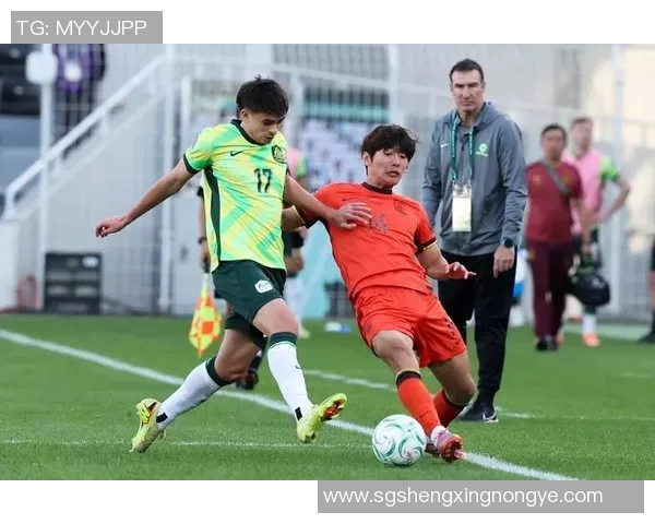 足球明星手球进门精彩瞬间合集与经典瞬间回顾 足球明星手球进门精彩瞬间合集与经典瞬间回顾