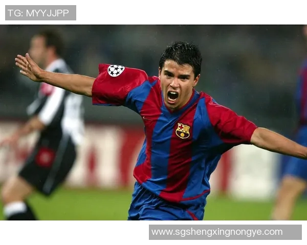 足球明星真实面貌大揭秘全球球星照片全集欣赏 足球明星真实面貌大揭秘全球球星照片全集欣赏