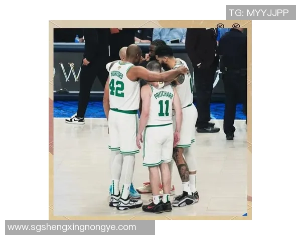 凯尔特人与猛龙第五场激战回顾球队表现与关键时刻分析 凯尔特人与猛龙第五场激战回顾球队表现与关键时刻分析