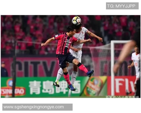 广岛与樱花比赛数据深度分析揭示球队表现与战术特点 广岛与樱花比赛数据深度分析揭示球队表现与战术特点