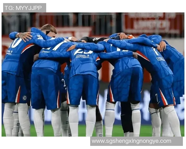 沃特福德与切尔西激战成平局双方表现引发热议 沃特福德与切尔西激战成平局双方表现引发热议