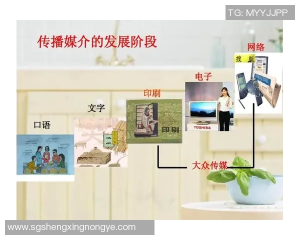 索博斯洛伊的文化传承与现代发展探讨：历史艺术与未来的交融之路