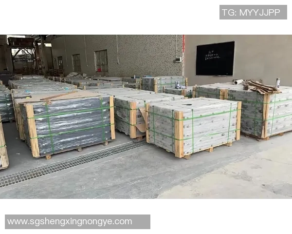 汕头体育器材产业发展现状与未来趋势分析探讨