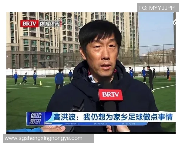 高洪波执教期间中国国家足球队成绩回顾与分析